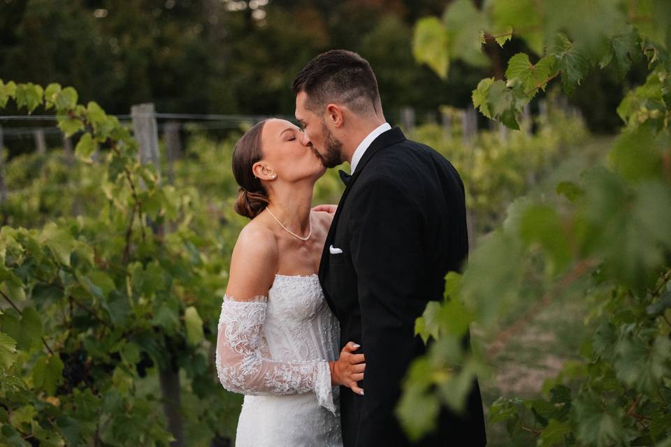 Vineyard