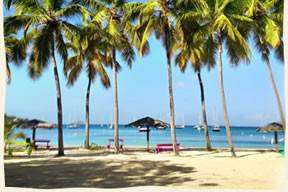 Beautiful Honeymoon Beach is just a few minutes from St. Thomas and accessible only by boat. Have your beach wedding here, or come here after your ceremony for swimming, lunch, and just limin'.