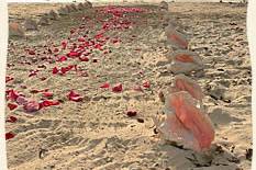 We can decorate the beach with a simple conch and rose-petal aisle for your wedding in St. Thomas.