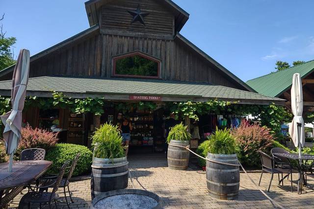 Grandfather Vineyard, WNC