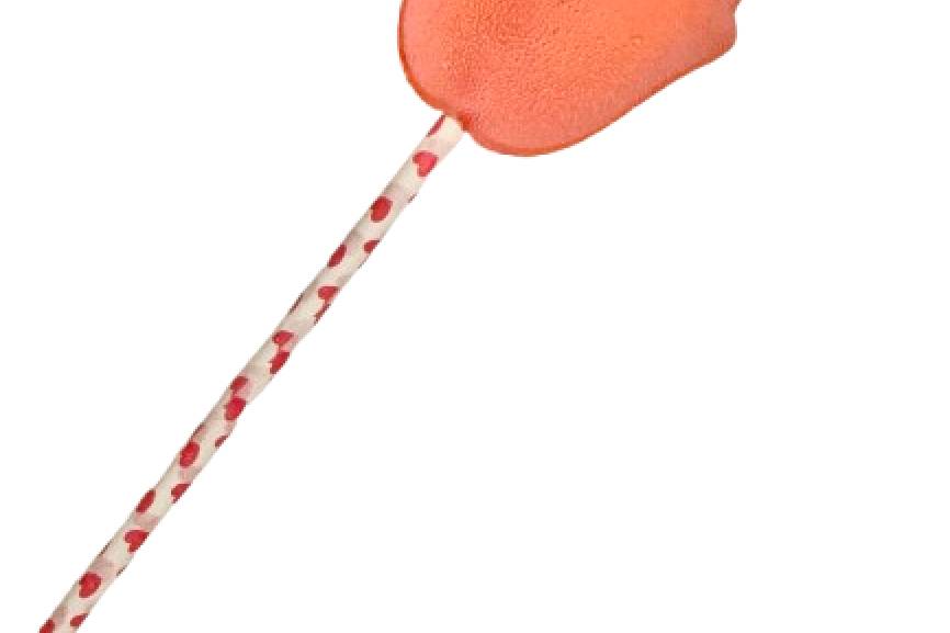 Watermelon Rose Lollipop