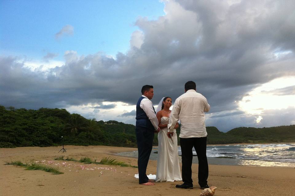 Royal Isabela