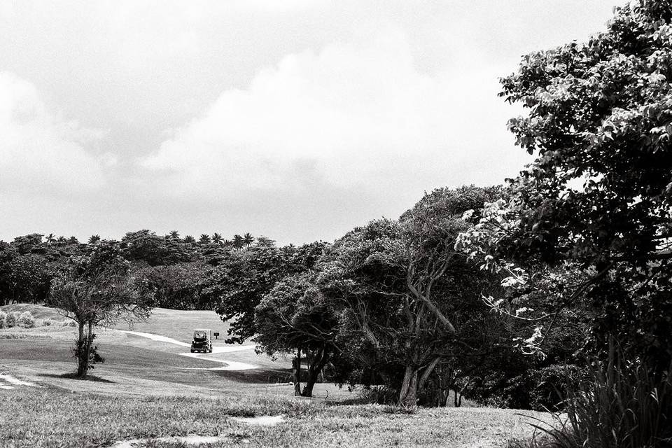 Royal Isabela