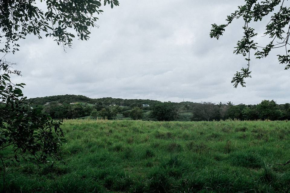 Royal Isabela