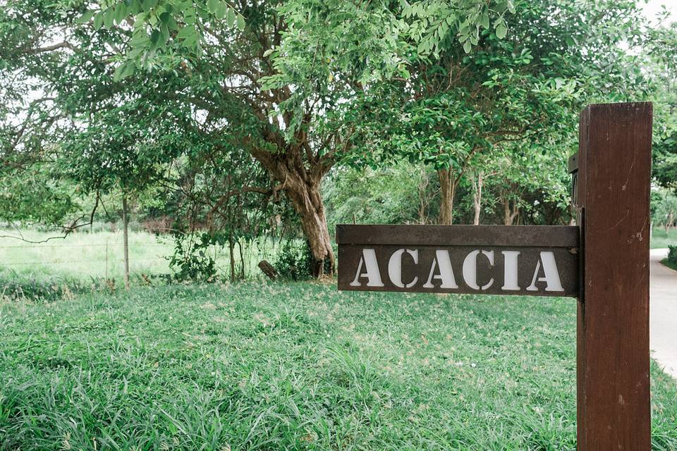 Royal Isabela