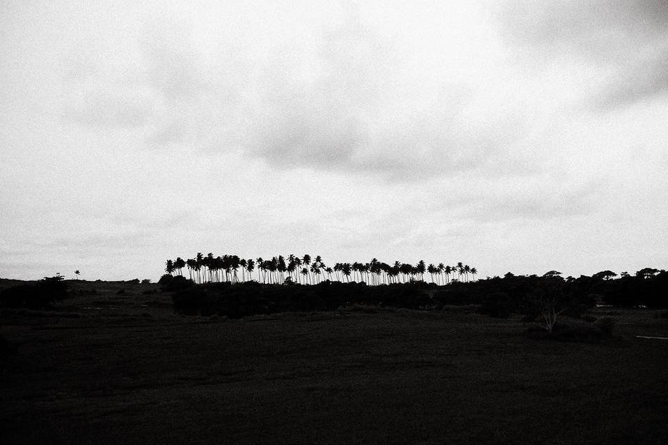 Royal Isabela
