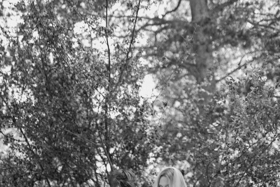 Arkansas Wedding Coordinator