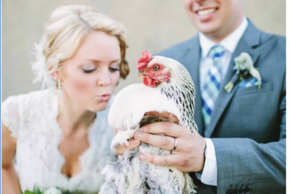 farm wedding