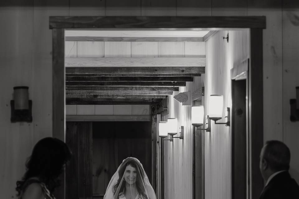 Snow Bride