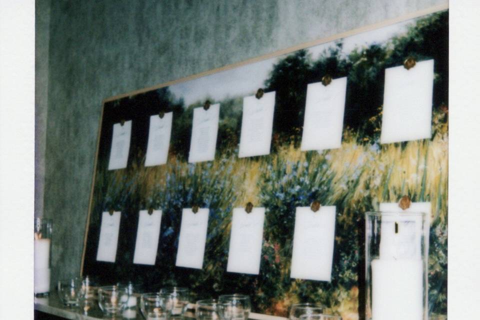 Instant Photo Chicago