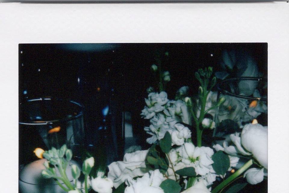 Instant Photo Chicago