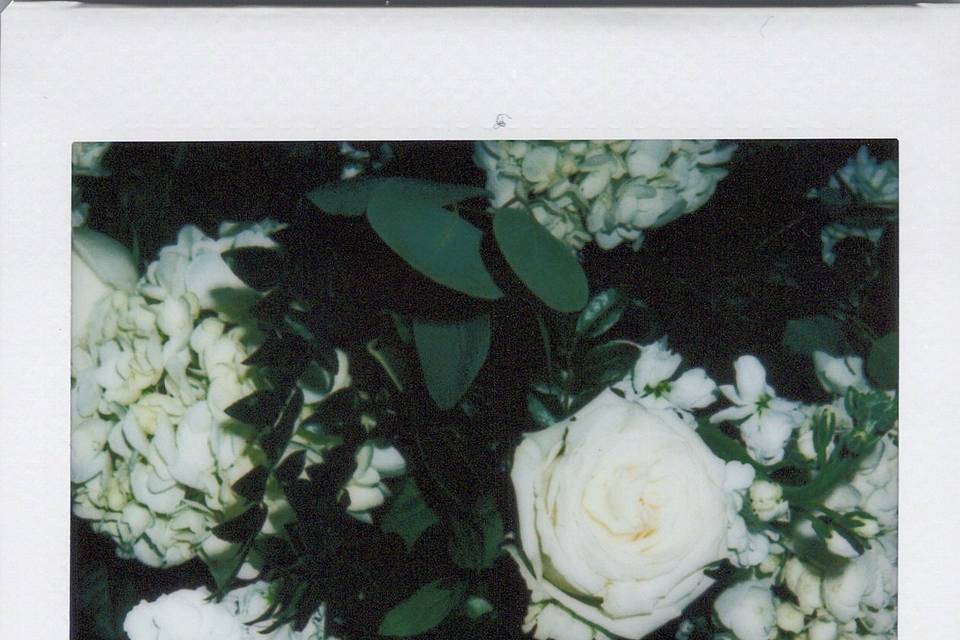 Floral