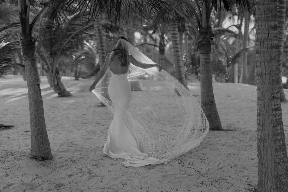 Tropical Wedding on the beach