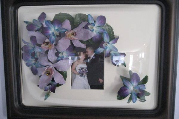 Blue and purple orchids