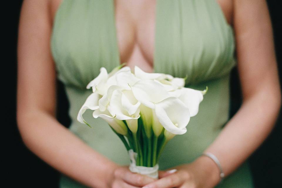 Mollyquillphotography