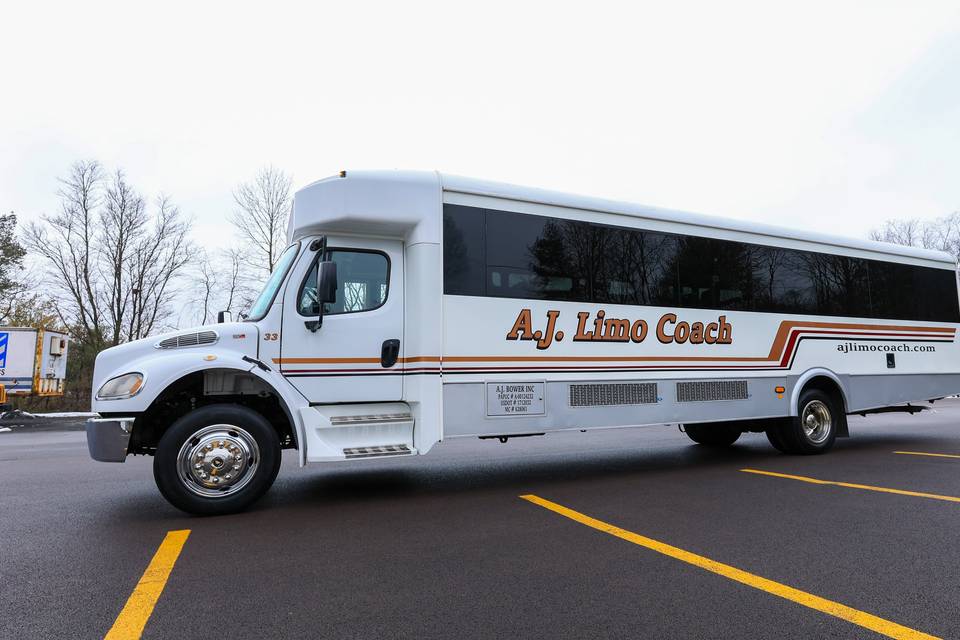 33 Passenger