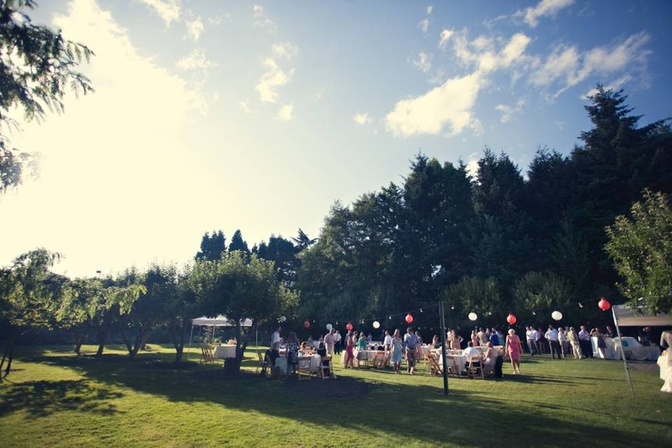 Reception in the Orchard, McMenamins Cornelius Pass Roadhouse