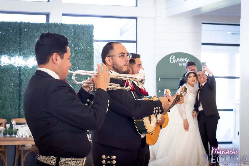 Albos Wedding