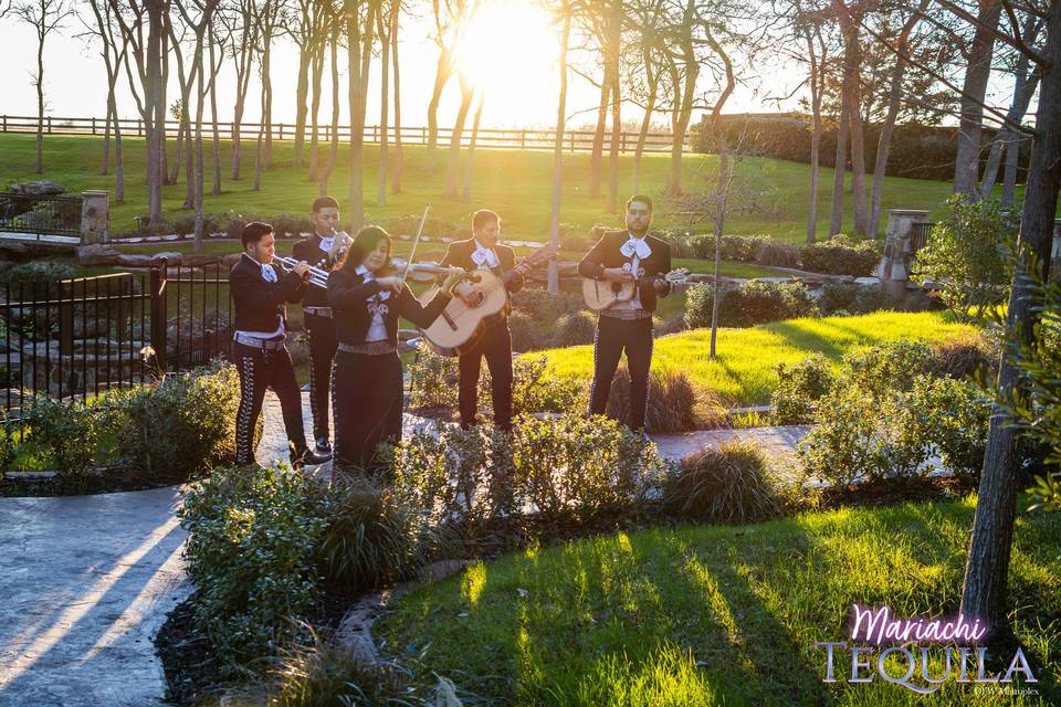 The Springs Alvarado