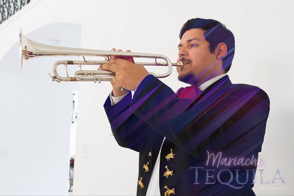 Trumpet