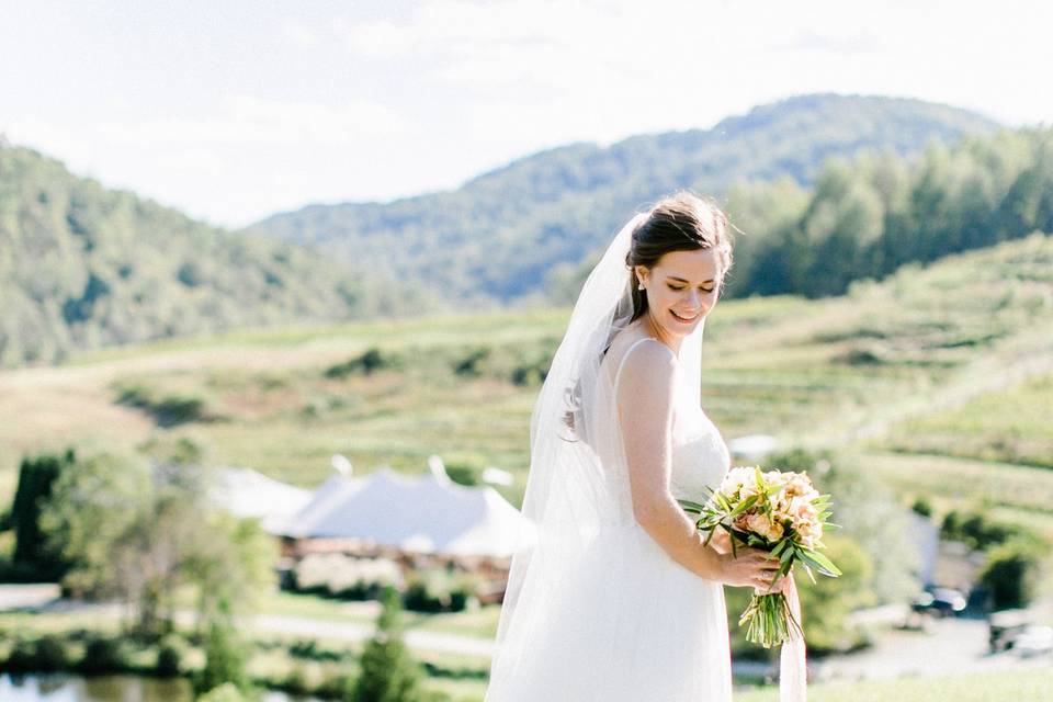 Virginia Winery Wedding
