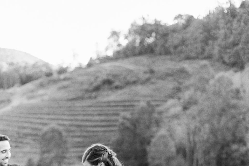 Virginia Winery Wedding
