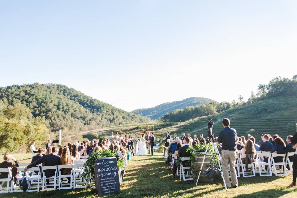 Virginia Winery Wedding