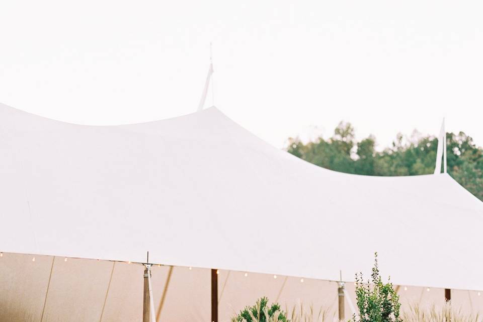Virginia Winery Wedding