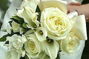 Spring Hills Ivy Cottage Florist