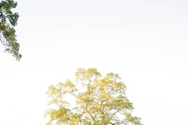Fall