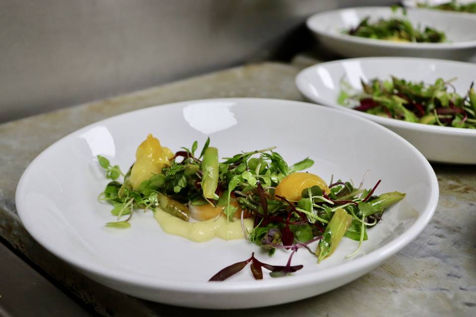 Plated Salad