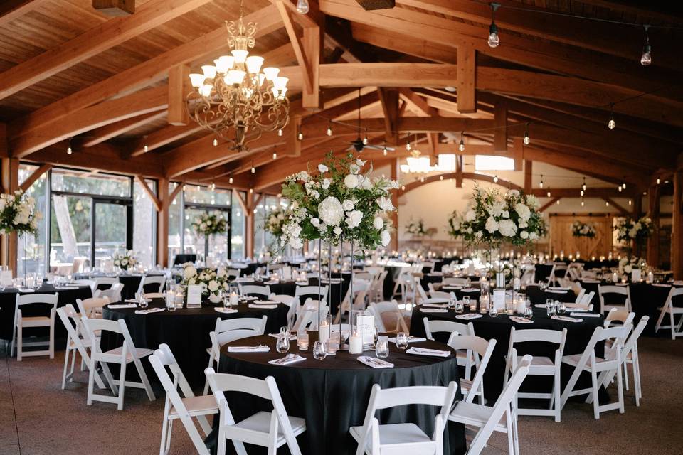 Elegant Vibes