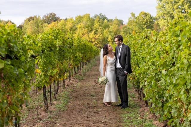 Vineyard