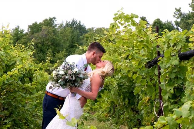 Vineyard