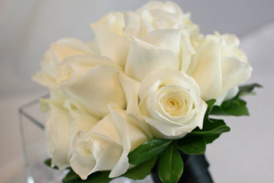 White roses