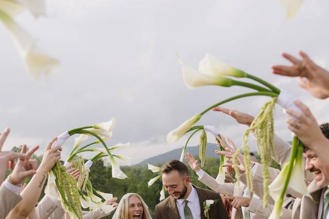 Wedding party photo tunnel