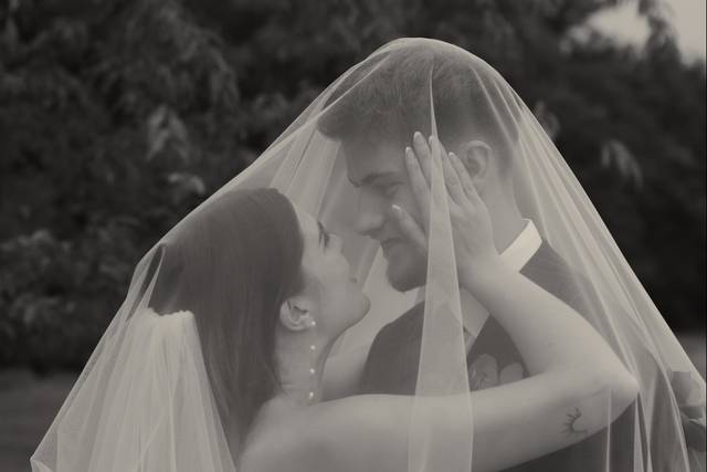 Veil newlywed photo