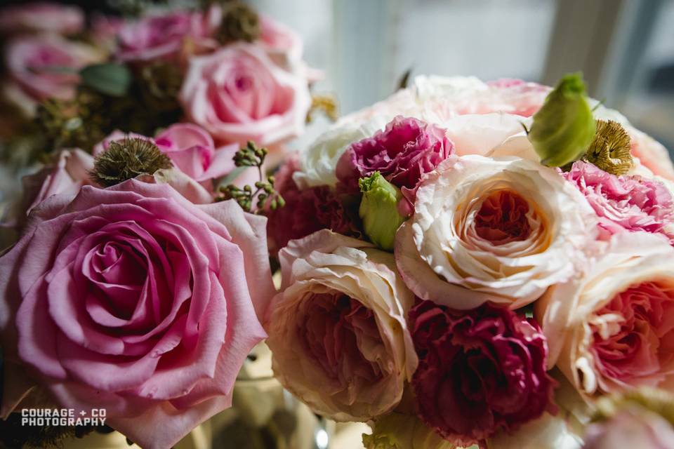 Courage & Co Photography