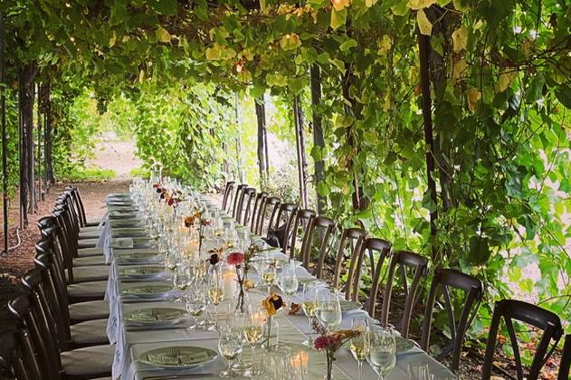 Stunning arbor at Trentadue