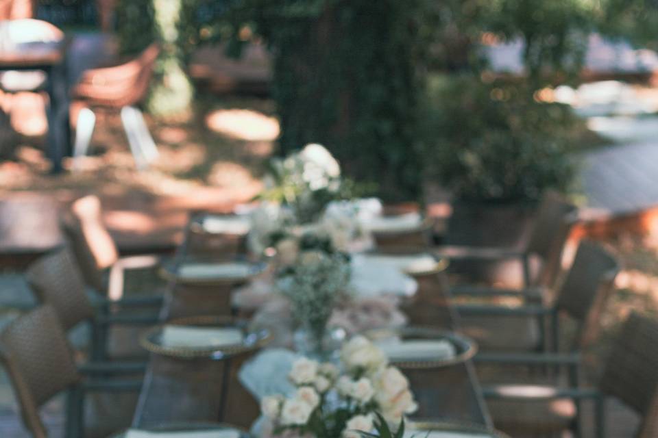 Outdoor Reception