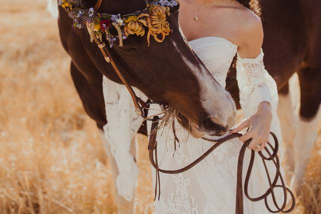 Becca & Garrett Boho Inspo