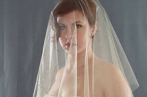 Italian and English Silk Tulle Veil (same texture)