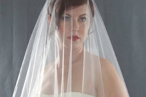 Blush Pink Wedding Veil