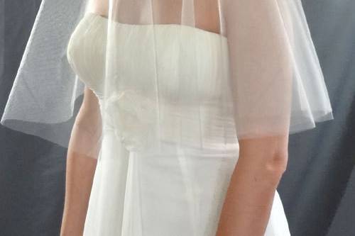 Champagne Wedding Veil