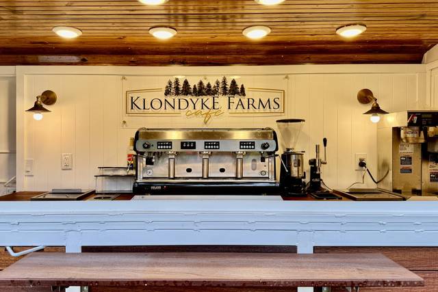 WEGA Polaris 3 group Expresso