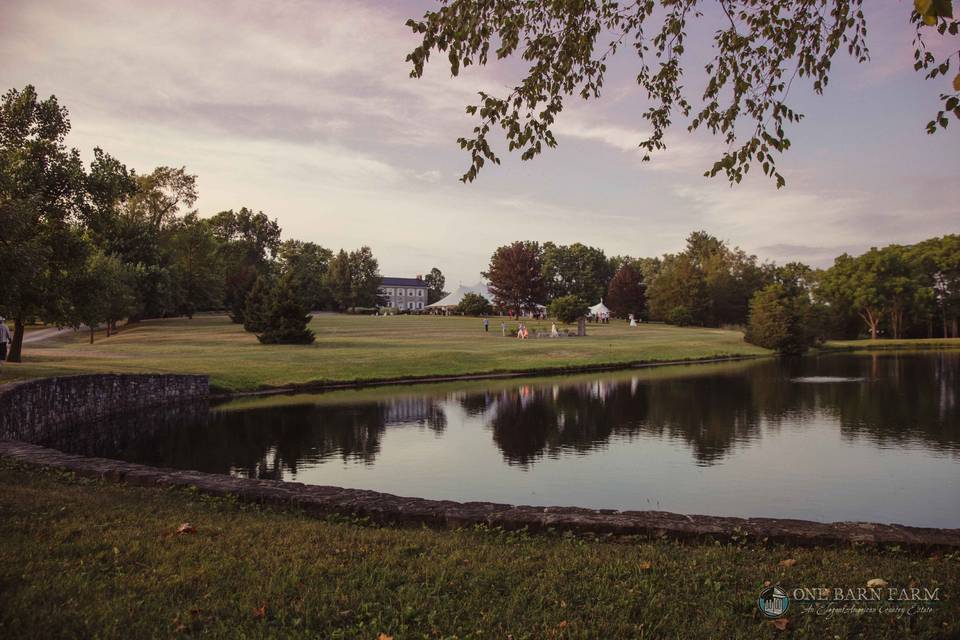 One Barn Farm