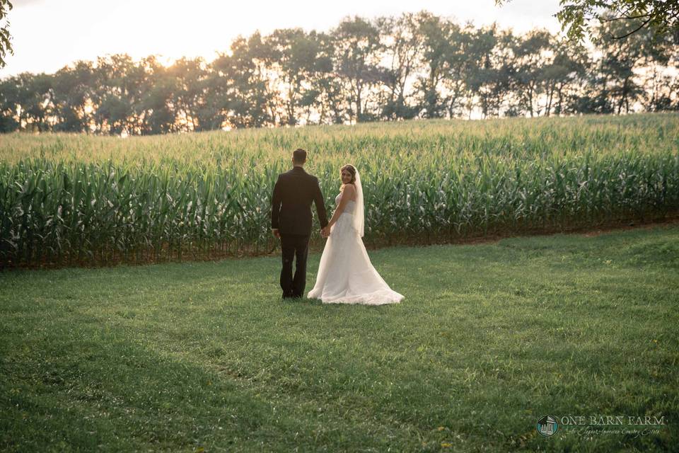 One Barn Farm