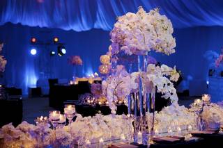 Trias Flowers and Events