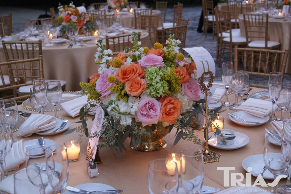 Trias Flowers and Events