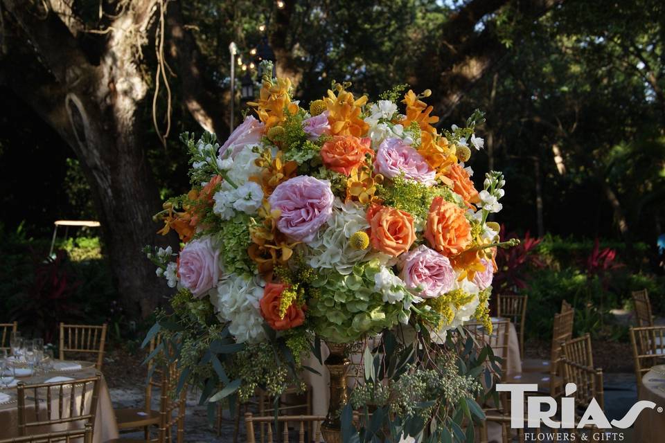 Trias Flowers and Events